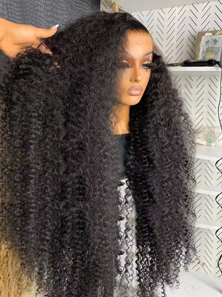 Vietnamese Long Curly Raw Hair Wig 13x6 Glueless Full Hd Lace Frontal - Zerbo Exotics